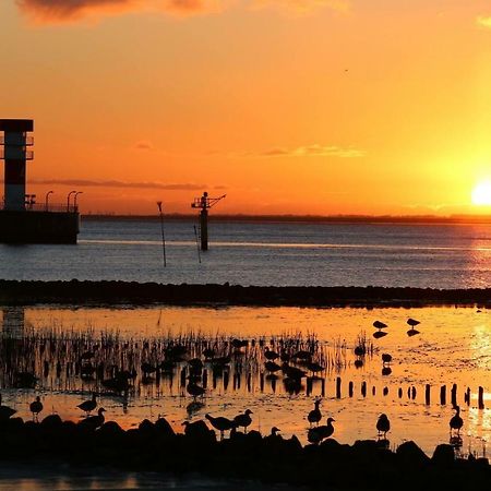 Ferien- Monteurswohnung บรุนส์บึทเทล ภายนอก รูปภาพ